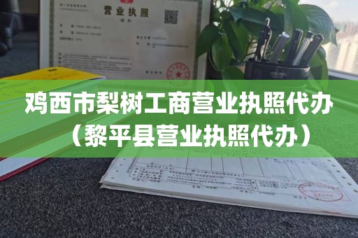 鸡西市梨树工商营业执照代办（黎平县营业执照代办）