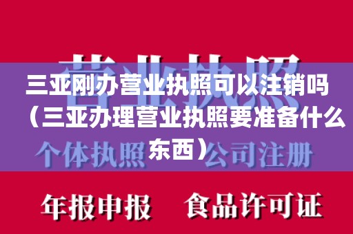 三亚刚办营业执照可以注销吗（三亚办理营业执照要准备什么东西）