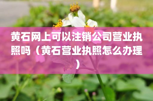 黄石网上可以注销公司营业执照吗（黄石营业执照怎么办理）