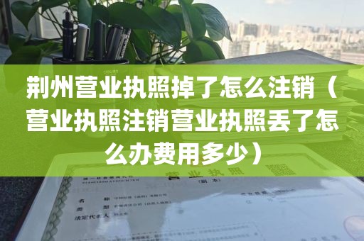 荆州营业执照掉了怎么注销(营业执照注销营业执照丢了怎么办费用多少)
