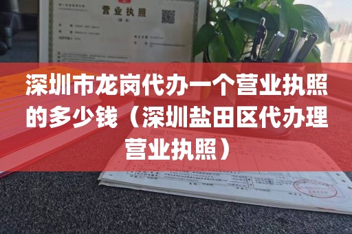 深圳市龙岗代办一个营业执照的多少钱（深圳盐田区代办理营业执照）