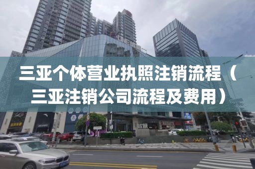 三亚个体营业执照注销流程(三亚注销公司流程及费用)