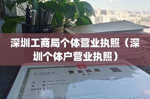 深圳工商局个体营业执照（深圳个体户营业执照）