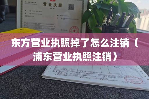东方营业执照掉了怎么注销（浦东营业执照注销）