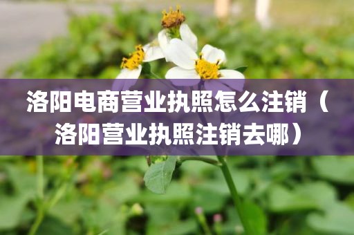 洛阳电商营业执照怎么注销（洛阳营业执照注销去哪）