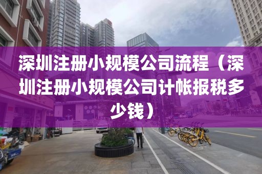 深圳注册小规模公司流程（深圳注册小规模公司计帐报税多少钱）