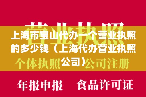 上海市宝山代办一个营业执照的多少钱（上海代办营业执照公司）