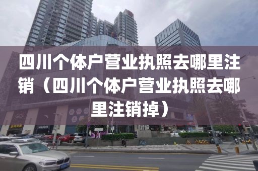 四川个体户营业执照去哪里注销（四川个体户营业执照去哪里注销掉）