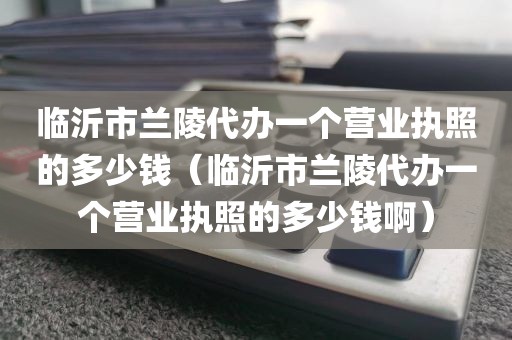 临沂市兰陵代办一个营业执照的多少钱（临沂市兰陵代办一个营业执照的多少钱啊）