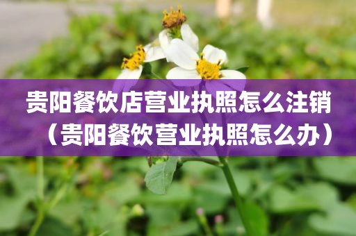 贵阳餐饮店营业执照怎么注销(贵阳餐饮营业执照怎么办)