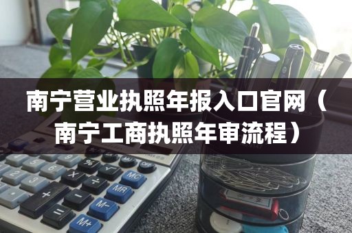 南宁营业执照年报入口官网（南宁工商执照年审流程）