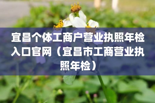 宜昌个体工商户营业执照年检入口官网（宜昌市工商营业执照年检）