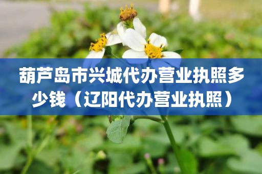 葫芦岛市兴城代办营业执照多少钱（辽阳代办营业执照）