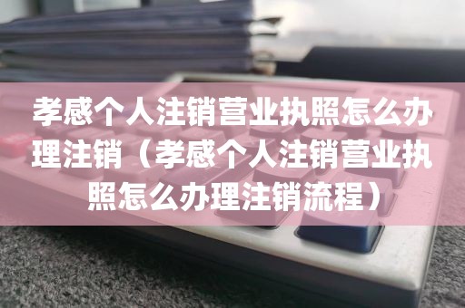孝感个人注销营业执照怎么办理注销（孝感个人注销营业执照怎么办理注销流程）