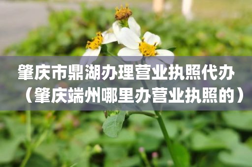 肇庆市鼎湖办理营业执照代办（肇庆端州哪里办营业执照的）