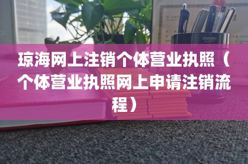 琼海网上注销个体营业执照（个体营业执照网上申请注销流程）