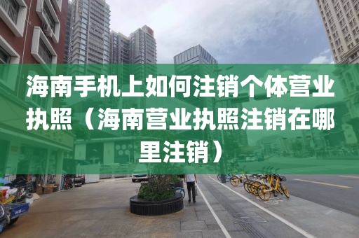 海南手机上如何注销个体营业执照（海南营业执照注销在哪里注销）