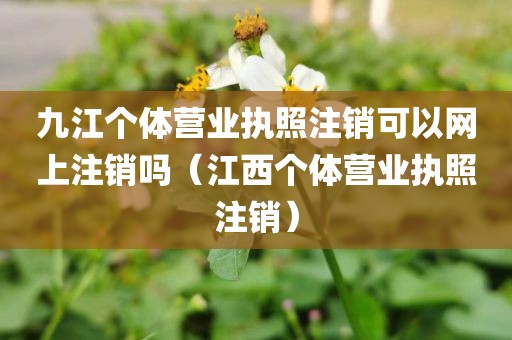 九江个体营业执照注销可以网上注销吗（江西个体营业执照注销）