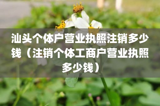 汕头个体户营业执照注销多少钱(注销个体工商户营业执照多少钱)