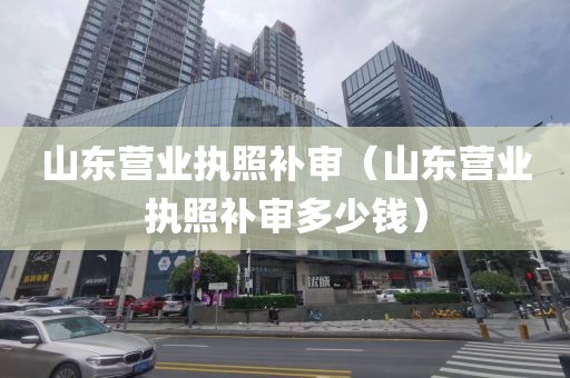 山东营业执照补审（山东营业执照补审多少钱）