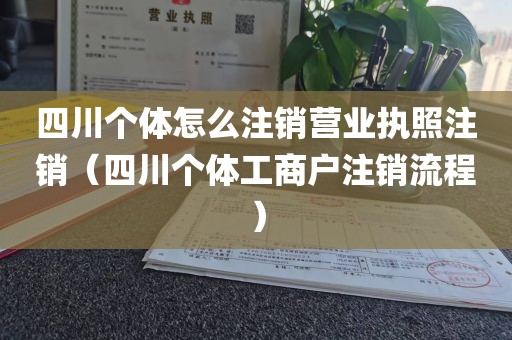 四川个体怎么注销营业执照注销（四川个体工商户注销流程）