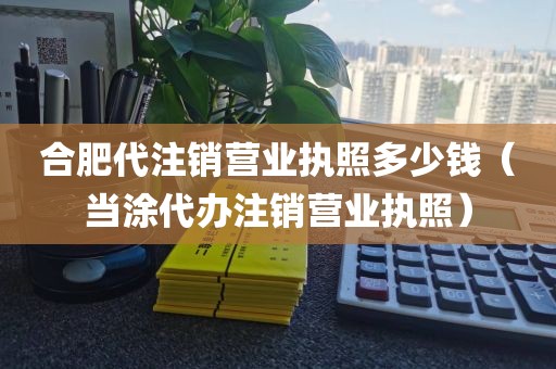 合肥代注销营业执照多少钱（当涂代办注销营业执照）