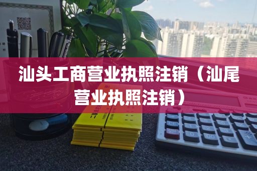 汕头工商营业执照注销(汕尾营业执照注销)
