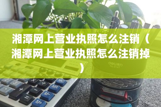 湘潭网上营业执照怎么注销（湘潭网上营业执照怎么注销掉）