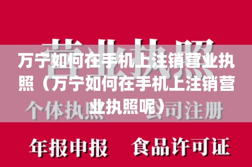 万宁如何在手机上注销营业执照（万宁如何在手机上注销营业执照呢）