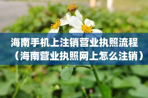 海南手机上注销营业执照流程（海南营业执照网上怎么注销）