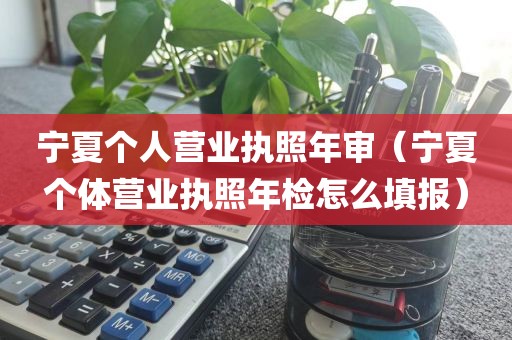 宁夏个人营业执照年审（宁夏个体营业执照年检怎么填报）