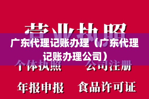 广东代理记账办理（广东代理记账办理公司）