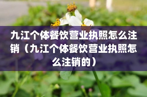 九江个体餐饮营业执照怎么注销（九江个体餐饮营业执照怎么注销的）