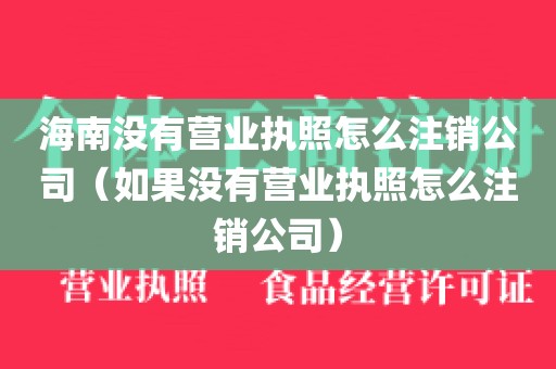 海南没有营业执照怎么注销公司（如果没有营业执照怎么注销公司）