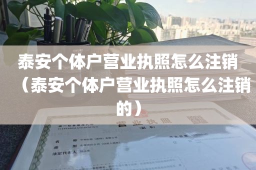 泰安个体户营业执照怎么注销（泰安个体户营业执照怎么注销的）