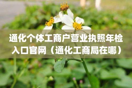 通化个体工商户营业执照年检入口官网（通化工商局在哪）