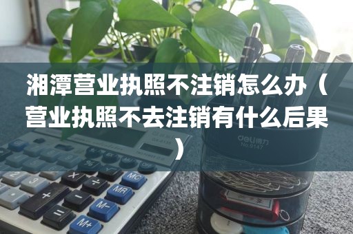 湘潭营业执照不注销怎么办（营业执照不去注销有什么后果）