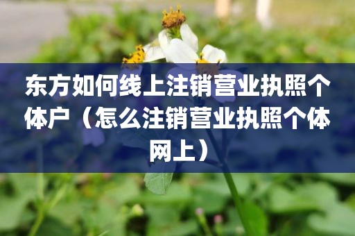 东方如何线上注销营业执照个体户(怎么注销营业执照个体网上)