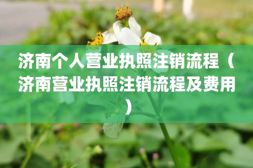 济南个人营业执照注销流程（济南营业执照注销流程及费用）