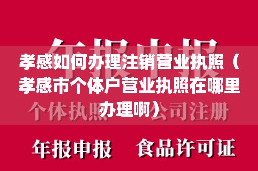 孝感如何办理注销营业执照（孝感市个体户营业执照在哪里办理啊）