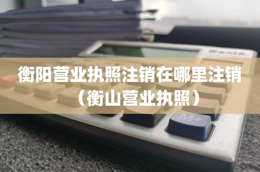 衡阳营业执照注销在哪里注销（衡山营业执照）