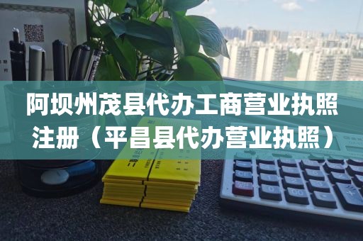 阿坝州茂县代办工商营业执照注册（平昌县代办营业执照）