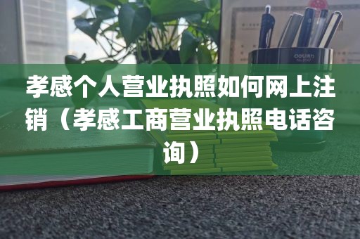 孝感个人营业执照如何网上注销（孝感工商营业执照电话咨询）