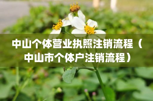 中山个体营业执照注销流程（中山市个体户注销流程）