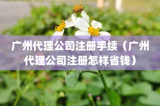 广州代理公司注册手续(广州代理公司注册怎样省钱)
