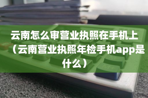 云南怎么审营业执照在手机上（云南营业执照年检手机app是什么）
