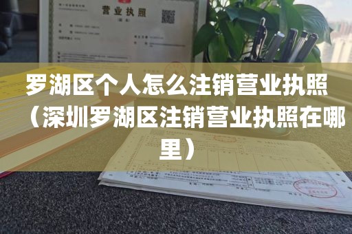 罗湖区个人怎么注销营业执照（深圳罗湖区注销营业执照在哪里）