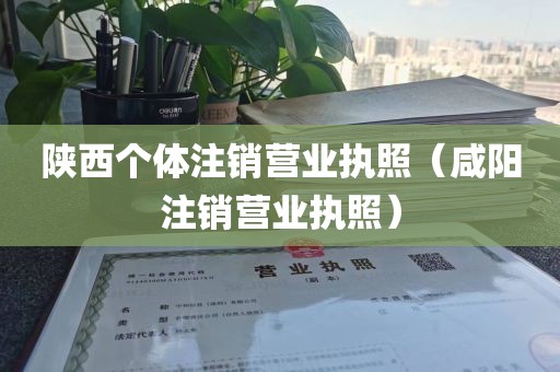 陕西个体注销营业执照（咸阳注销营业执照）