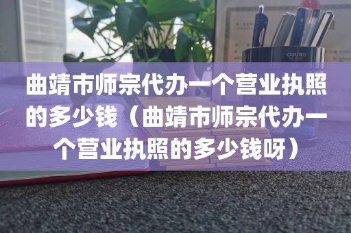 曲靖市师宗代办一个营业执照的多少钱（曲靖市师宗代办一个营业执照的多少钱呀）
