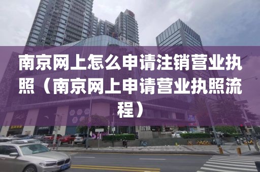 南京网上怎么申请注销营业执照（南京网上申请营业执照流程）